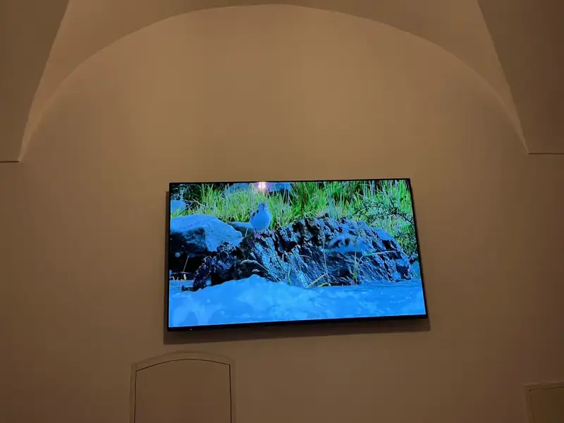 Fernseher an einer Wand unter einem Gewölbe nach der Montage
